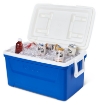 Image de Igloo Laguna 48 (45 litres) Bleu