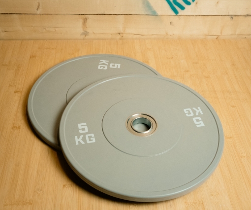 Image de Ensemble de 2 disques olympiques gris clair de 5 kg